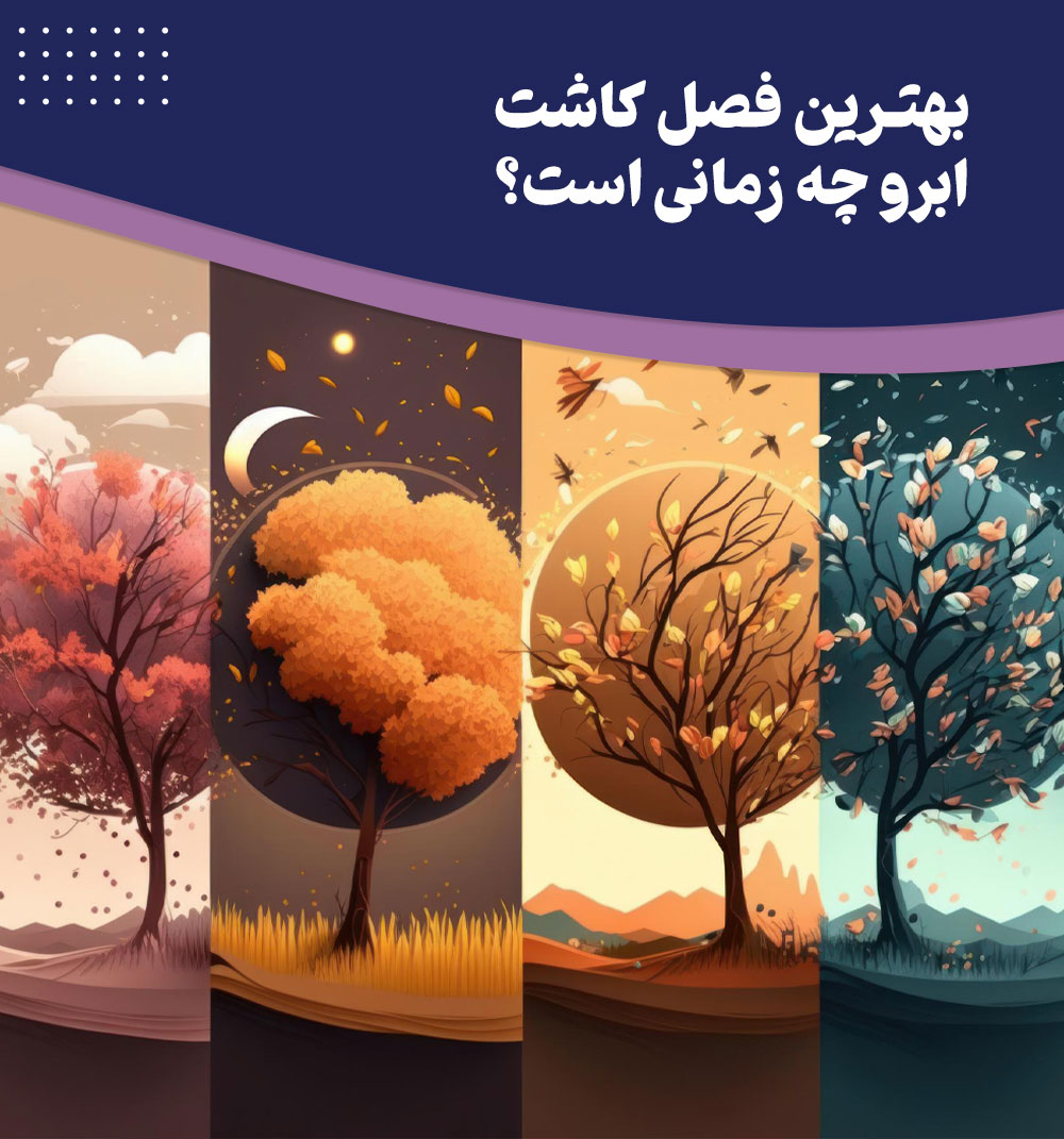 راهنمای گام به گام انتخاب بهترین فصل برای کاشت ابرو